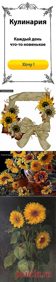 Цветы солнца / Картинки для декупажа / PassionForum - мастер-классы по рукоделию