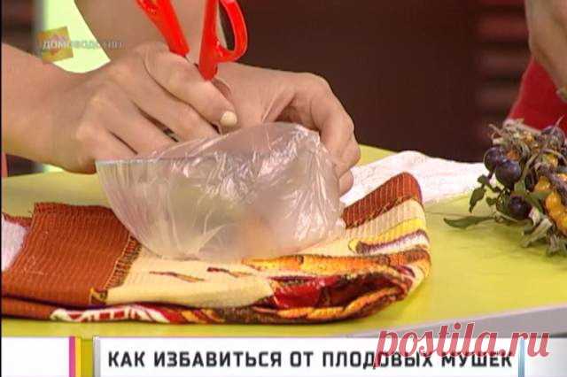КАК ИЗБАВИТЬСЯ ОТ МУШЕК