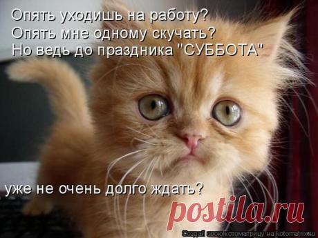 два сердца разбитых и два одиночества,уставшии верить,уставшии ждать.
