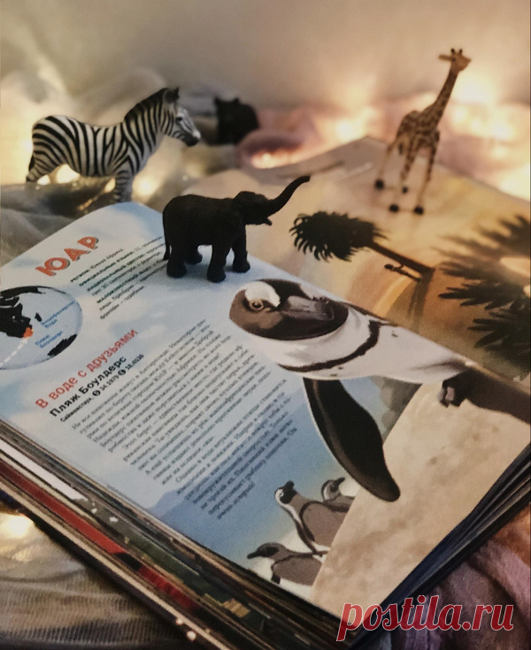 Чем занять младших школьников летом? 21 идея | Папамамам — МИФ