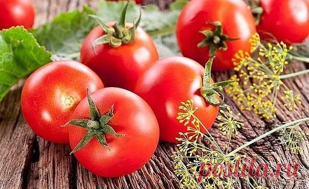 ВСЕ ЧТО НУЖНО ЗНАТЬ О ТОМАТАХ! 
!!!ШПАРГАЛКА НА ЛЕТО!!!
ДЕДОВСКИЙ РЕЦЕПТ ДЛЯ ТОМАТОВ

Этот полузабытый дедовский рецепт я выписала из старой газетной 
подшивки, но опробовать все не было времени. Решилась наконец в прошлом 
году.
Рецепт очень прост.
В трехлитровую банку заливаю 2,6-2,7 л воды без хлора (отстоянной), 
добавляю 100 г разведенных теплой водой дрожжей и 0,5 ст. сахара.
Накрыв марлей, держу банку в тепле, время от времени взбалтывая 
содержимое.
Раствор готов, ...