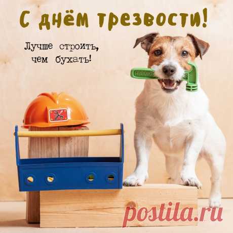 С Днем трезвости хочу
Поздравить всю Россию,
Желаю алкоголь чтоб мы
Из жизни удалили.