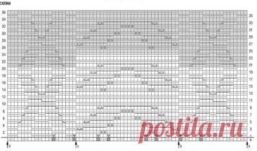 Braid Pattern Beautiful Top