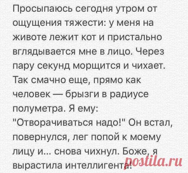 О животных и людях