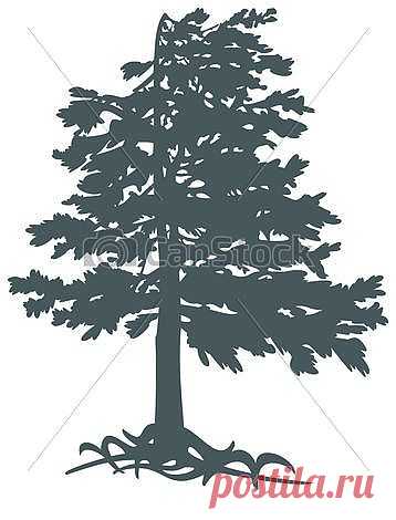 Векторные Gimalayskiy, cedar - 2-D, objects, CorelDRAW, vector,... csp17004931 - Поиск клипартов, иллюстраций, рисунков и векторных графических изображений клипартов в формате EPS