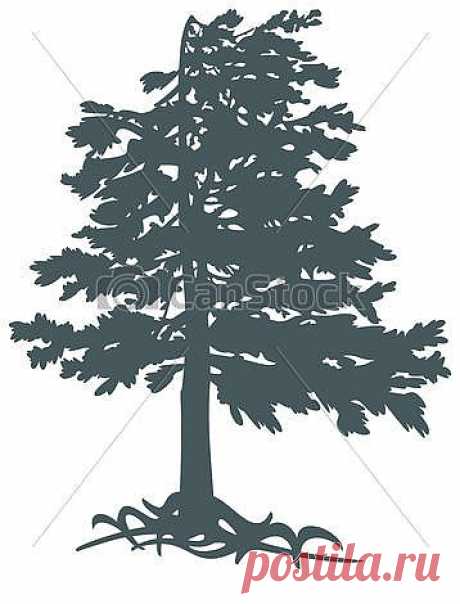 Векторные Gimalayskiy, cedar - 2-D, objects, CorelDRAW, vector,... csp17004931 - Поиск клипартов, иллюстраций, рисунков и векторных графических изображений клипартов в формате EPS