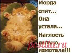 Одноклассники