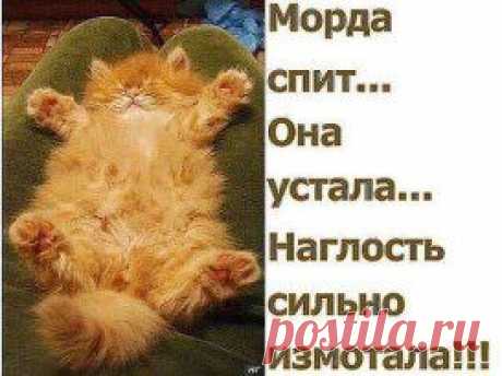 Одноклассники