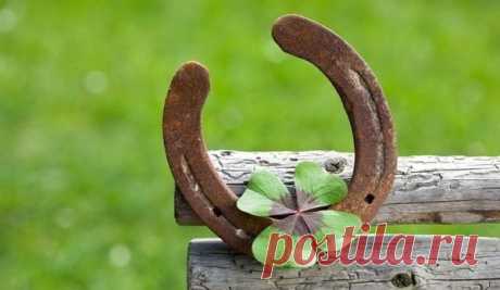 Привычки людей, которые становятся любимцами фортуны | Журнал "JK" Джей Кей Верите вы в это или нет, но вы сами становитесь творцами своей удачи. Вам просто нужно помнить о некоторых вещах. Иногда кажется, что некоторые люди — настоящие везунчики. Они оказываются в нужном месте в нужное время, и фортуна всегда на их стороне. И хотя мы не можем контролировать все, что происходит в нашей жизни, мы способны запрограммировать себя на удачу и успех.