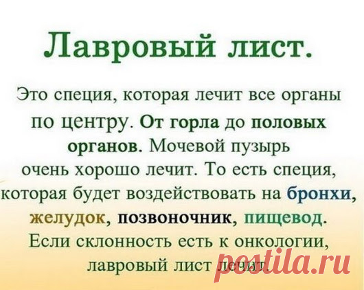 Лавровый лист.