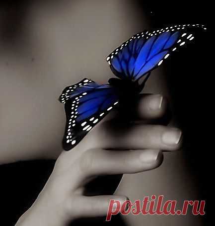 баб...