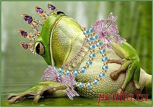 Мир Позитива!!! :))) – Сообщество – Google+