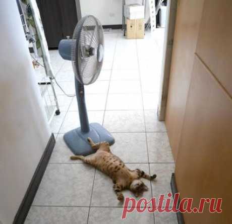 Google+