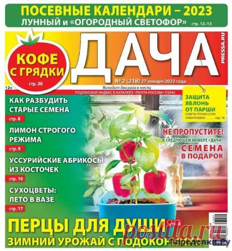 Дача 2 2023 * Переделки.Ру Дача 2 2023 Читать журнал ОНЛАЙН
