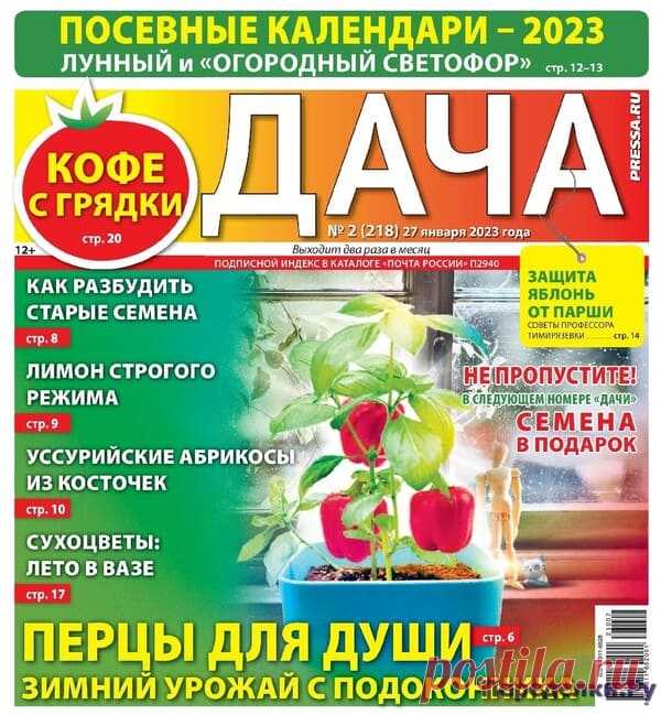 Дача 2 2023 * Переделки.Ру Дача 2 2023 Читать журнал ОНЛАЙН