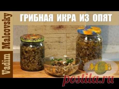 Консервация грибная икра из опят. Как сделать грибную икру. Мальковский Вадим