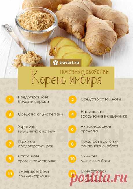 Корень имбиря - полезные свойства