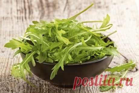 Рукола - вкус Средиземноморья на наших грядках