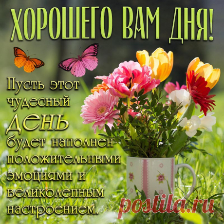 Хорошего дня, и хорошего утра,
И вечера тоже хорошего!
Пусть будет сегодня всё здорово, круто.
Пусть будет еще что-то большее. хорошего дня открытка
