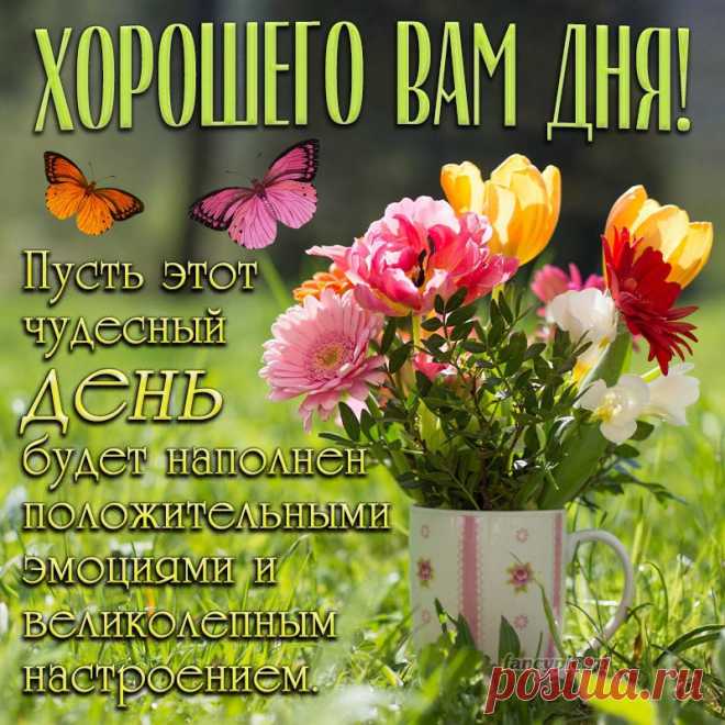 Хорошего дня, и хорошего утра,
И вечера тоже хорошего!
Пусть будет сегодня всё здорово, круто.
Пусть будет еще что-то большее. хорошего дня открытка https://postila.ru/post/80833865
