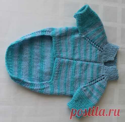 вязаная одежда для собак (идеи)