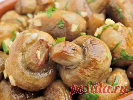 Рецепты вкусных блюд из шампиньонов | Домашняя кулинария
