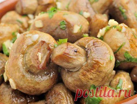 Рецепты вкусных блюд из шампиньонов | Домашняя кулинария