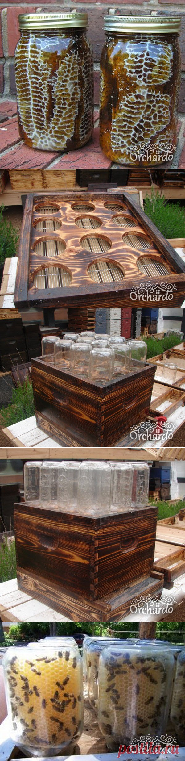 Улей из ......БАНОК)))