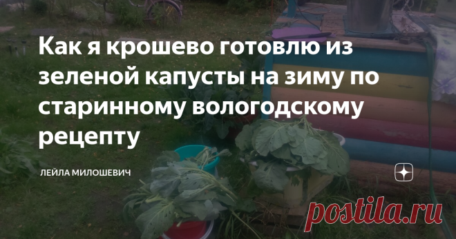 Как я крошево готовлю из зеленой капусты на зиму по старинному вологодскому рецепту Обожаю простые рецепты из старорусской кухни