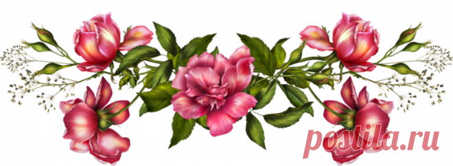 Цветы - Клипарты PNG - Клипарты у Анны.