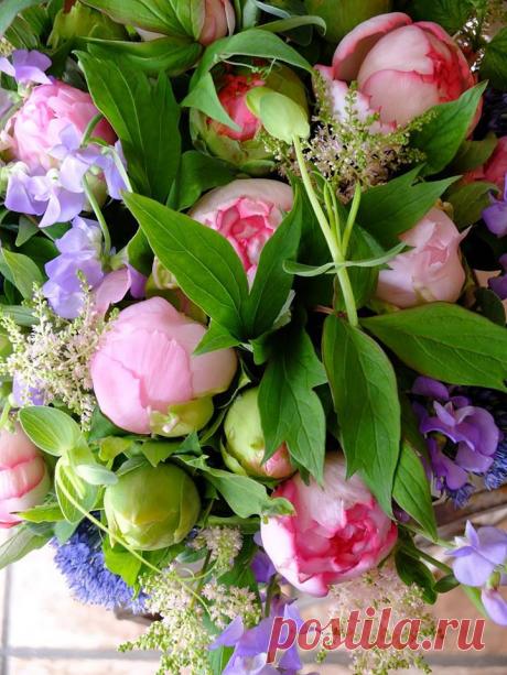 флористика