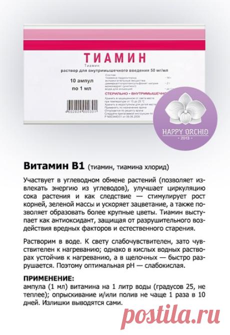 ВИТАМИНЫ ДЛЯ ОРХИДЕЙ

Сохрани на стену, чтобы не потерять!

Витамины служат строительным материалом для образования ферментов, которые, в свою очередь, участвуют в обмене веществ. Витамины, образуясь в клетках растений:
 влияют на интенсивность фотосинтеза;
 вступают в соединения с другими веществами; 
 участвуют в усвоении растением питательных веществ, а также синтезе и превращении белков, углеводов и жиров. 
При недостатке витаминов у растения возникает нарушение обмена...