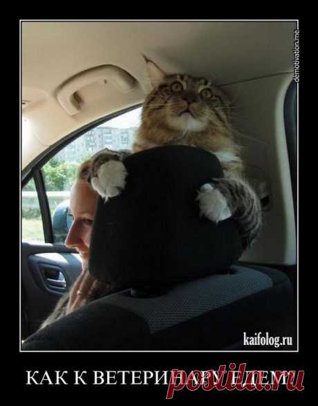 Вечные ценности