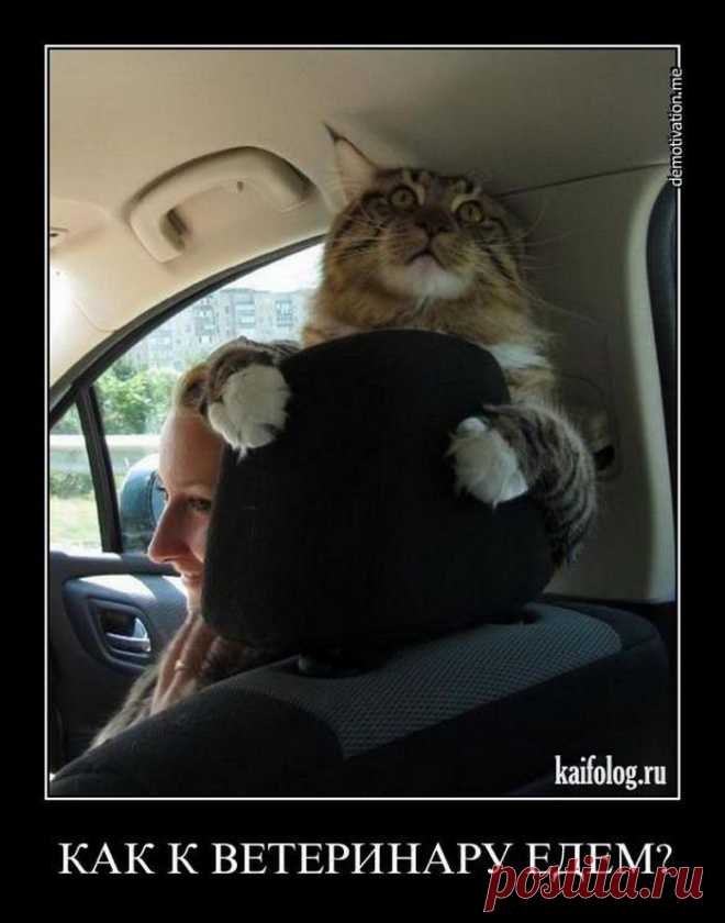 Вечные ценности