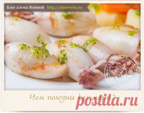 Чем полезны кальмары и как их правильно и вкусно готовить
