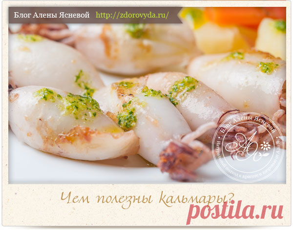 Чем полезны кальмары и как их правильно и вкусно готовить