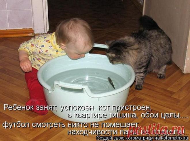 Тревожная кнопка ( котоматрица ) | Обхохочешься