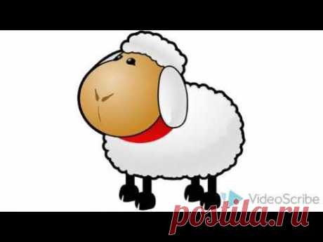 Как нарисовать овцу How to draw sheep