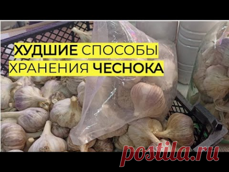 Никогда не храните так чеснок! Весь сгниет.