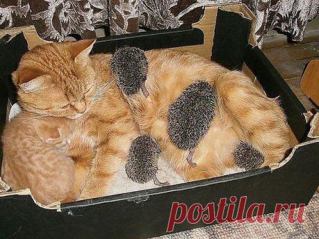 Самое интересное