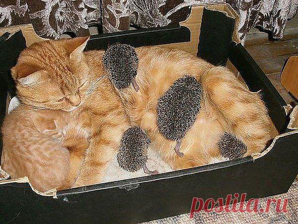 Самое интересное