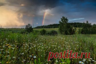 Фото дня на «Фото.Сайте»
«...и скажу не тая...» (Maxim)

Другие работы автора: www.photosight.ru/users/106238/