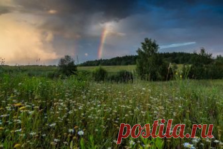 Фото дня на «Фото.Сайте»
«...и скажу не тая...» (Maxim)

Другие работы автора: www.photosight.ru/users/106238/