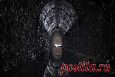 Лиса не одобряет, батарейный мыс «пылает», а дидинский тоннель просто завораживает – представляем 5 лучших фотографий, присланных вами на прошлой неделе.