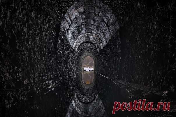 Лиса не одобряет, батарейный мыс «пылает», а дидинский тоннель просто завораживает – представляем 5 лучших фотографий, присланных вами на прошлой неделе.