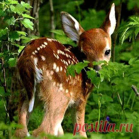 Мой Мир@Mail.Ru