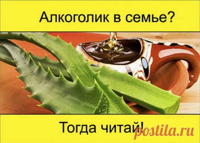Кулинарная книга - Группы Мой Мир