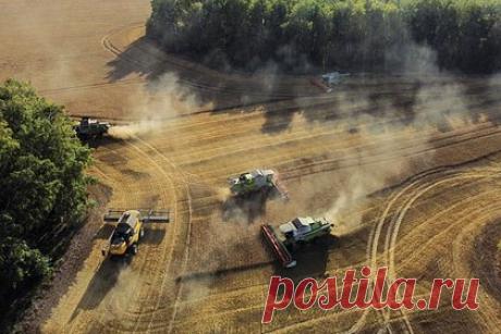 Власти сообщили о стабилизации поставок топлива аграриям. Ситуация с поставками топлива российским аграриям, которые проводят уборочную кампанию и местами приступили к севу зерновых, стабилизируется благодаря мерам властей, рассказал замминистра сельского хозяйства Максим Увайдов. Как напомнил чиновник, особые переживания были связаны с ситуацией на юге страны.