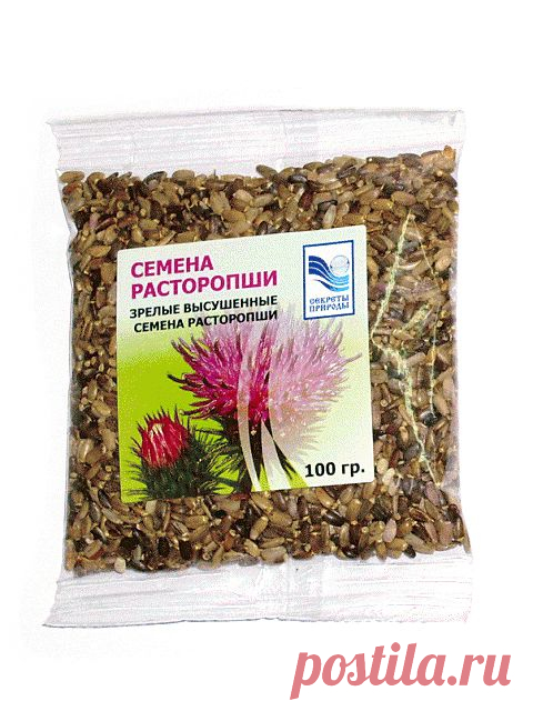 Лечебные рецепты применения семян расторопши