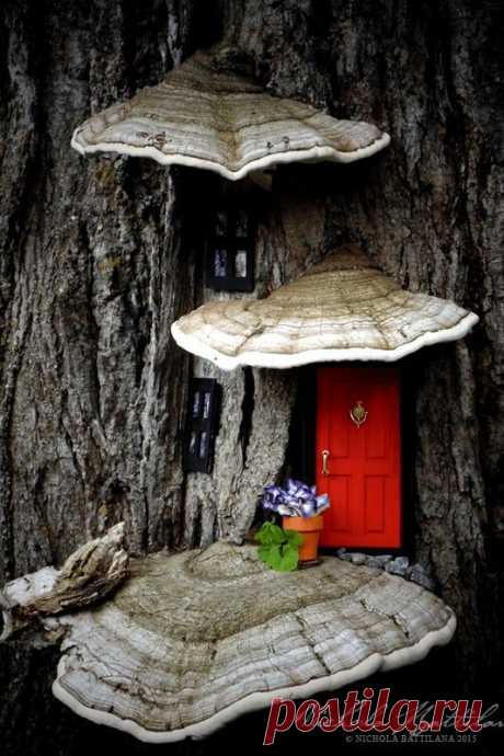 Fairy Garden Houses, Ideas, and Supplies | Family Food Garden